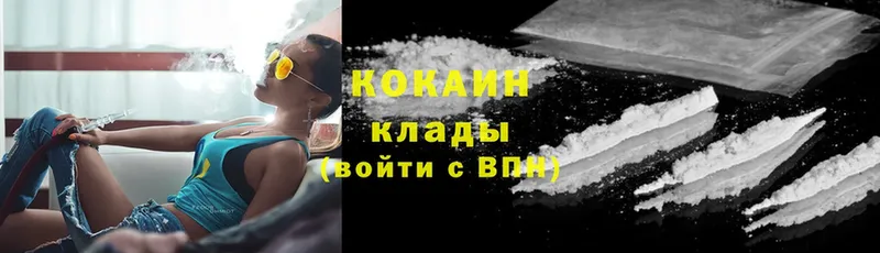 Cocaine FishScale  дарнет шоп  Дрезна 